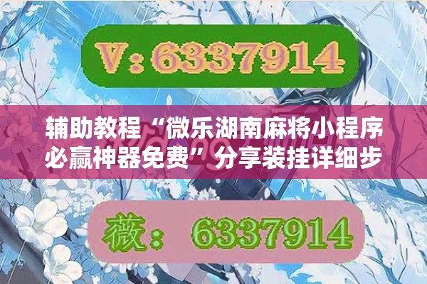 辅助教程“微乐湖南麻将小程序必赢神器免费”分享装挂详细步骤