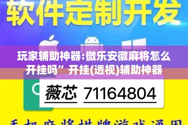 玩家辅助神器:微乐安徽麻将怎么开挂吗”开挂(透视)辅助神器