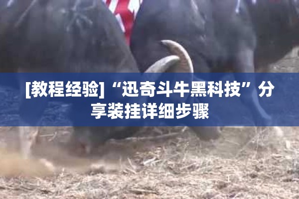 [教程经验]“迅奇斗牛黑科技”分享装挂详细步骤