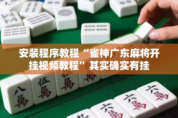 安装程序教程“雀神广东麻将开挂视频教程”其实确实有挂