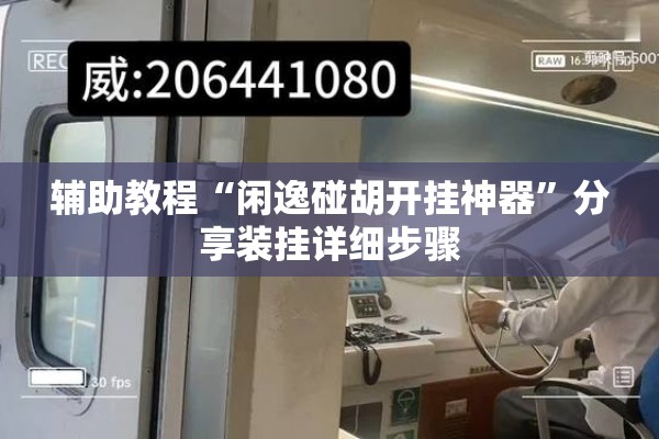 辅助教程“闲逸碰胡开挂神器”分享装挂详细步骤