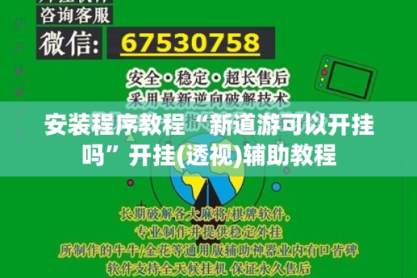 安装程序教程“新道游可以开挂吗”开挂(透视)辅助教程