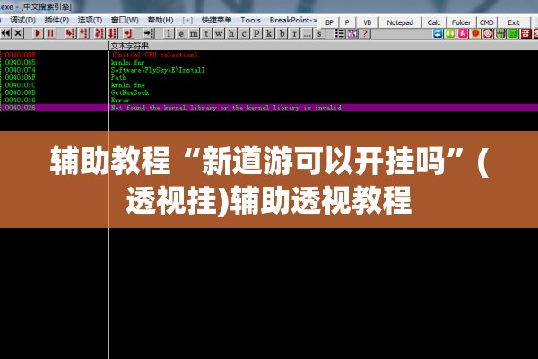 辅助教程“新道游可以开挂吗	”(透视挂)辅助透视教程