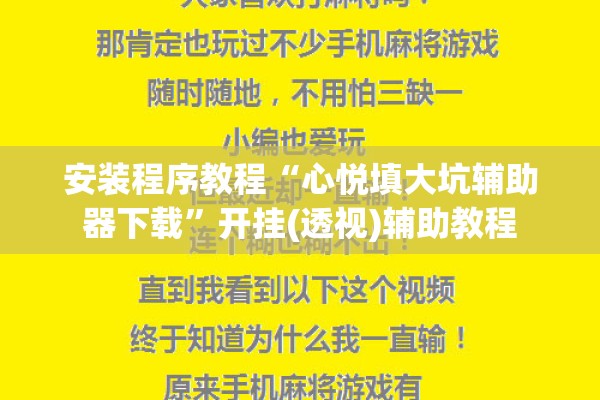 安装程序教程“心悦填大坑辅助器下载”开挂(透视)辅助教程