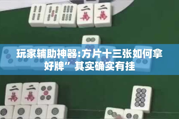 玩家辅助神器:方片十三张如何拿好牌”其实确实有挂