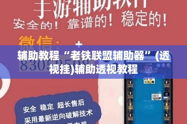 辅助教程“老铁联盟辅助器”(透视挂)辅助透视教程