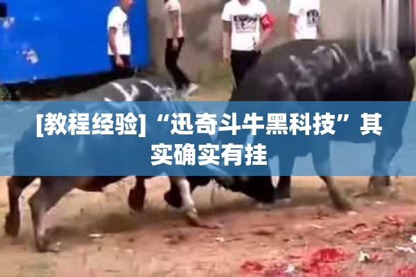 [教程经验]“迅奇斗牛黑科技”其实确实有挂