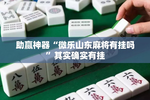 助赢神器“微乐山东麻将有挂吗”其实确实有挂