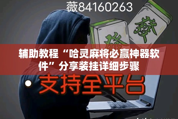 辅助教程“哈灵麻将必赢神器软件	”分享装挂详细步骤