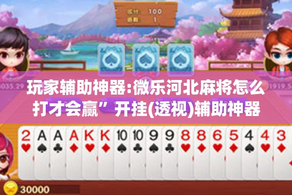 玩家辅助神器:微乐河北麻将怎么打才会赢”开挂(透视)辅助神器
