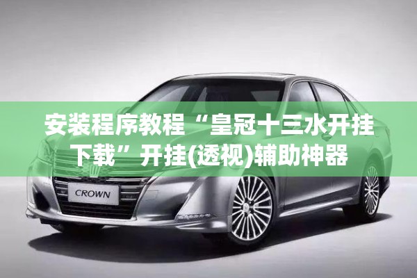 安装程序教程“皇冠十三水开挂下载”开挂(透视)辅助神器