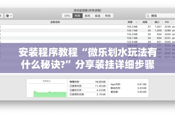 安装程序教程“微乐划水玩法有什么秘诀?	”分享装挂详细步骤