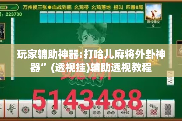 玩家辅助神器:打哈儿麻将外卦神器”(透视挂)辅助透视教程