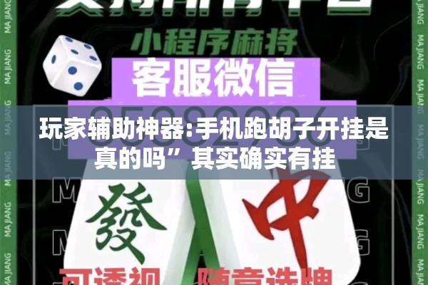 玩家辅助神器:手机跑胡子开挂是真的吗	”其实确实有挂