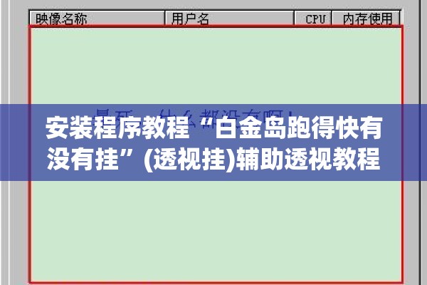 安装程序教程“白金岛跑得快有没有挂”(透视挂)辅助透视教程