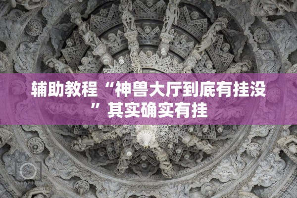 辅助教程“神兽大厅到底有挂没	”其实确实有挂