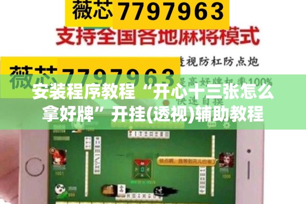 安装程序教程“开心十三张怎么拿好牌”开挂(透视)辅助教程